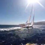 Last minute: Boat charter hamilton island | Coupon code