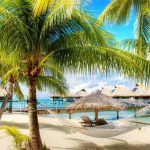 Waiting List: Yacht rental grand cayman | Coupon code