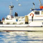 Book: Boat rental miami river | Test & Advice